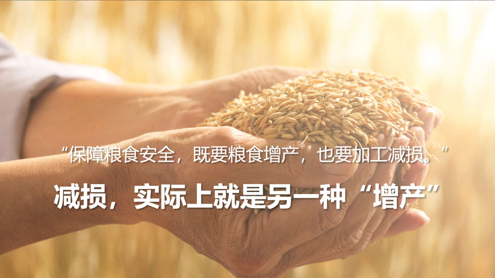 Starbo星宝(中国集团)官方网站