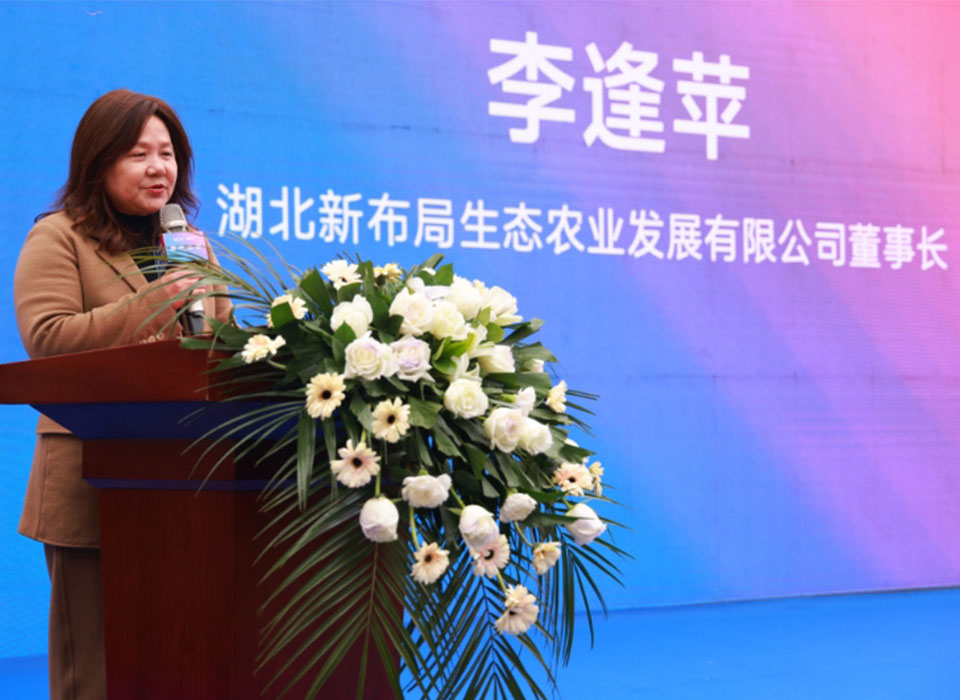 Starbo星宝(中国集团)官方网站