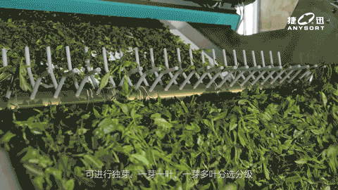 Starbo星宝(中国集团)官方网站