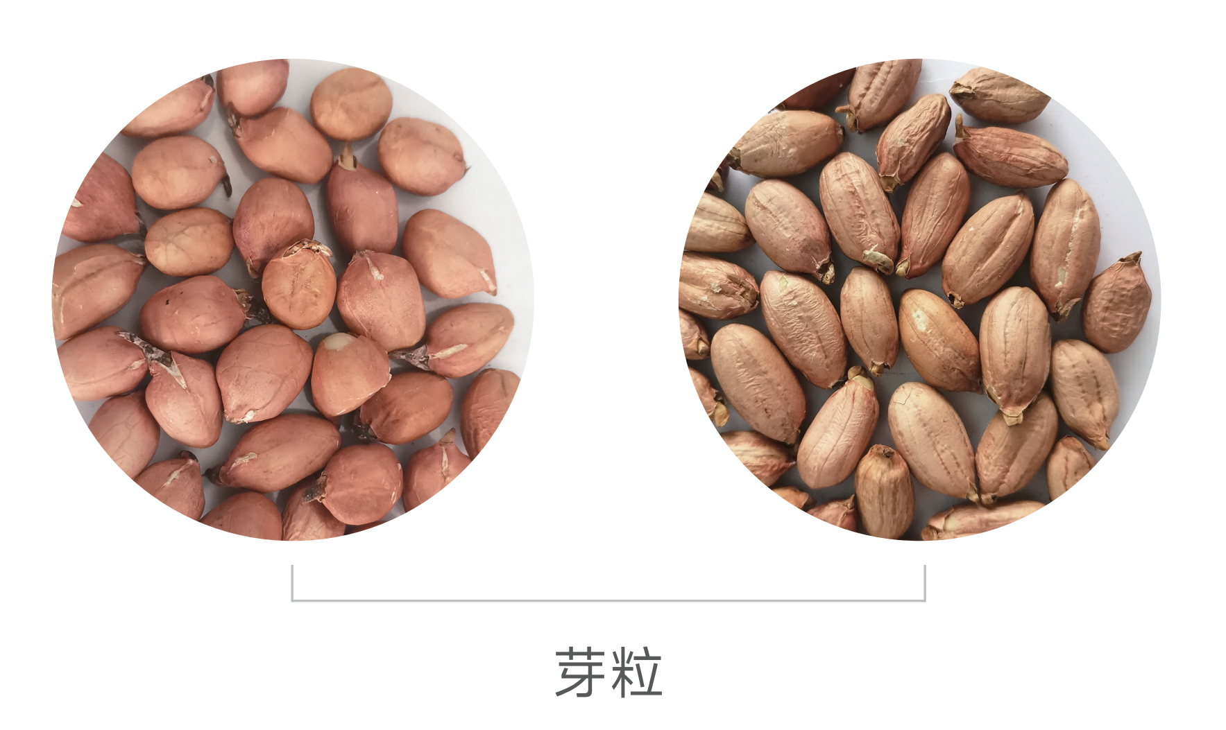 Starbo星宝(中国集团)官方网站