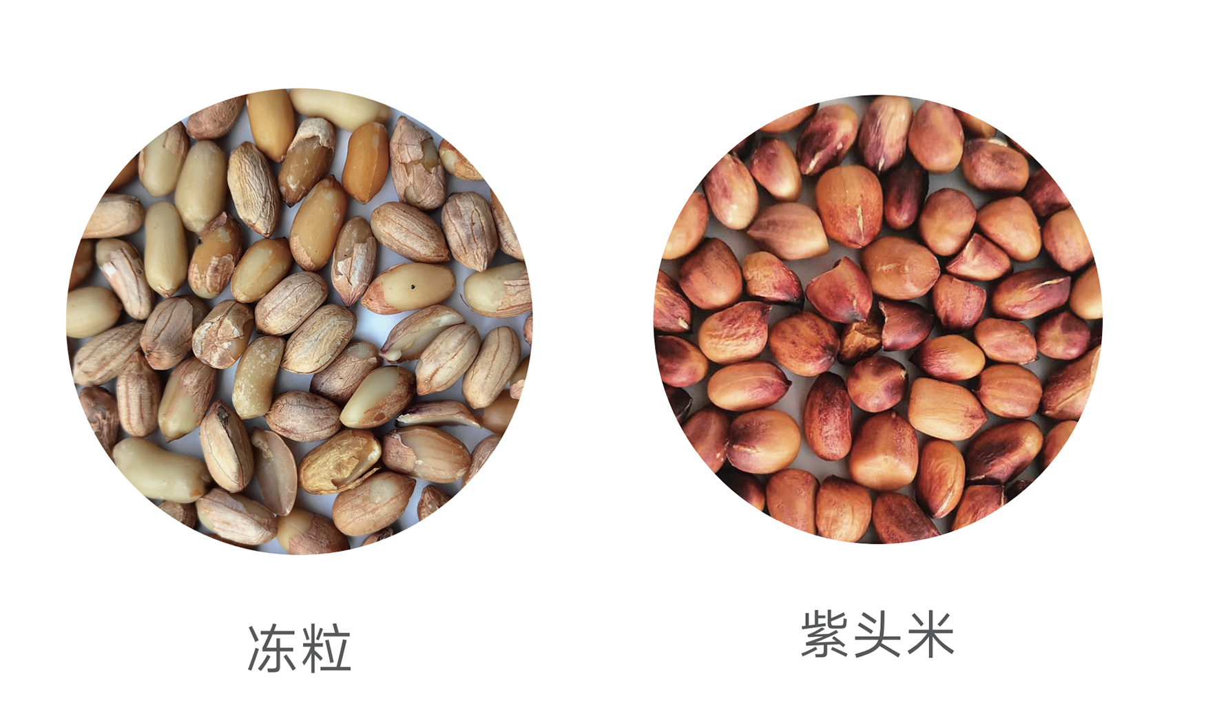 Starbo星宝(中国集团)官方网站
